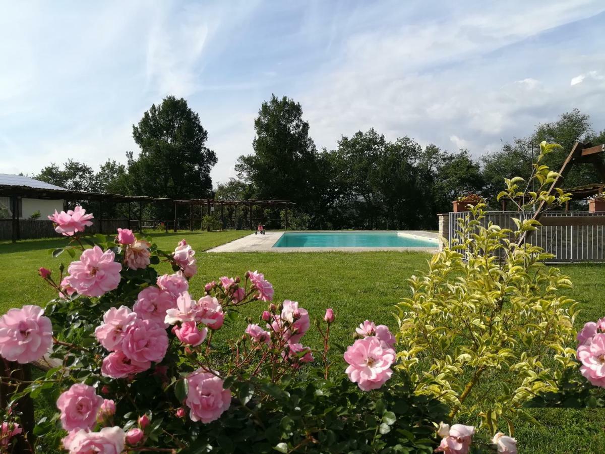 Agriturismo Dimore Di Poggianto Pergine Valdarno Esterno foto